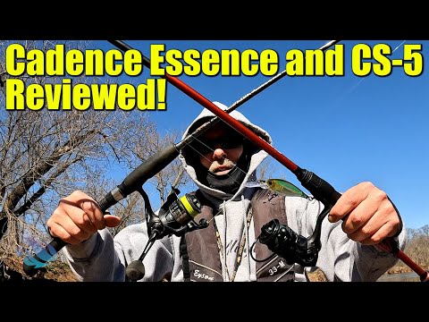 Cadence Fishing Reviews 