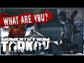 BEST MOMENTS ESCAPE FROM TARKOV  HIGHLIGHTS - EFT WTF & FUNNY MOMENTS  #49