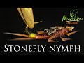 Нимфа Веснянки / Stonefly nymph