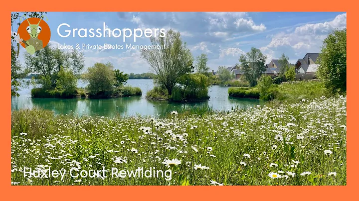 Huxley Court Rewilding | Sustainable Grounds Care Showcase