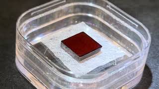 Echo-Free THz Detection Using Thin 110 ZnTe Optically Bonded to Thick 100 ZnTe