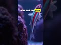 Neon Tetra's Stunning Glow #tetrafish
