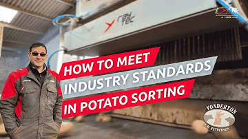 How To Keep Potatoes Industry-Ready With Raynbow Sorting Machine | RAYTEC VISION SpA