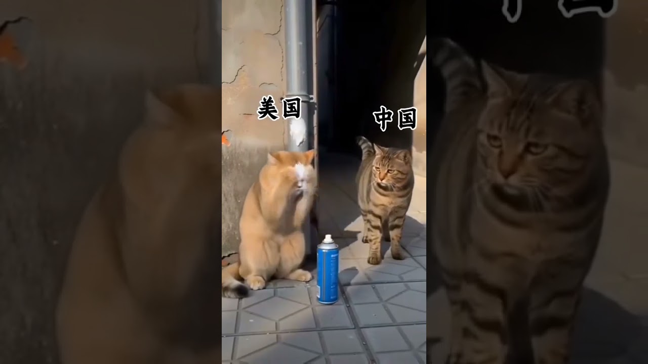 过去十年的中美关系