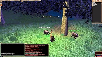 What is basic combat like - Dark Age of Camelot