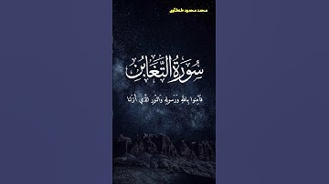 تلاوة هادئة من سورة التغابن القارئ محمد محمود طنطاوي