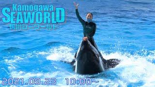 ◆鴨川シーワールド　シャチパフォーマンス（2021．09．23）10：30~ ◆【4K60P】