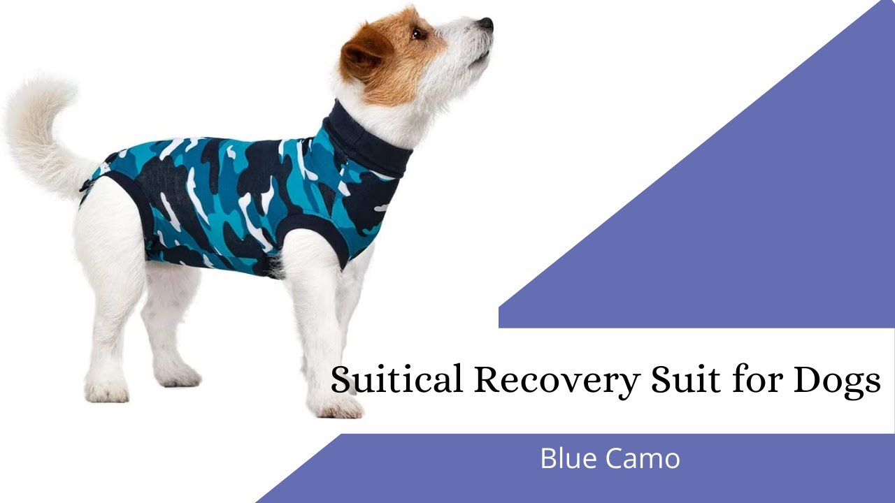 Suitical Recovery Suit For Dogs | Recovery Suit For Dogs | 