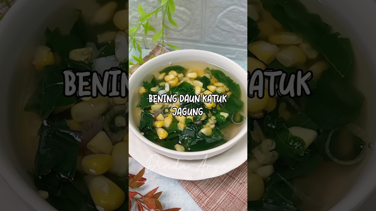 Resep BENING DAUN KATUK JAGUNG bagus untuk asi booster! 🥰✨ 