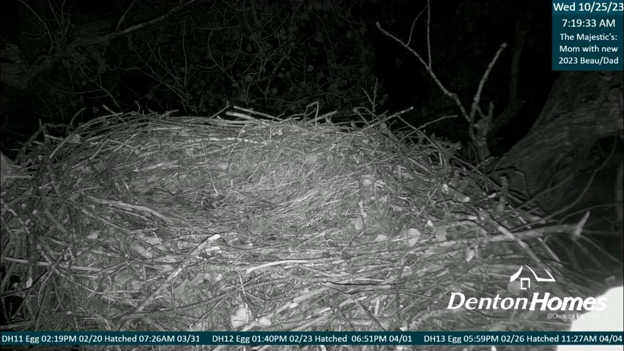 Rec Denton Homes Eagles 10 25 23 1 YouTube