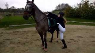 Team Berwald Vlog Nobi Har Holdt Flyttedag