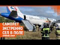 YouTube YouTube