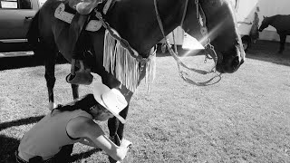 Celebrity Pendleton Round Up The Green Mile Barrel Race Profile