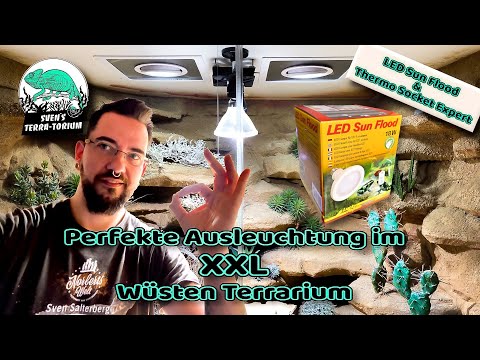Perfekte Ausleuchtung im XXL Wüsten Terrarium Lucky Reptile LED Sun Flood & Thermo Socket Expert