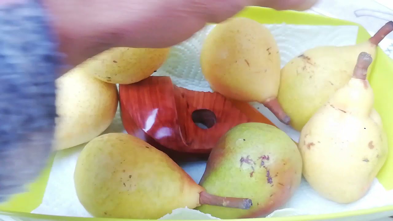 Mastro Rudy Artigiana