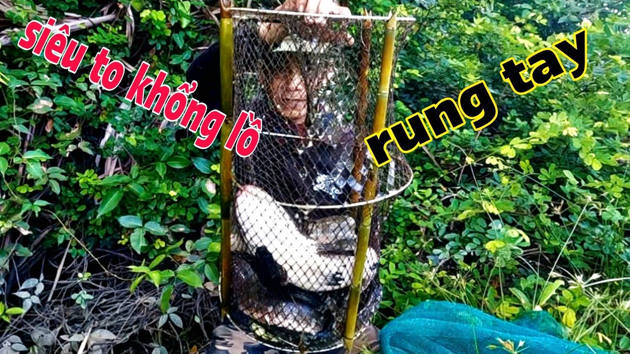 Посетите рыболовную сеть и поймайте супербольшую рыбу — самую большую в этом сезоне