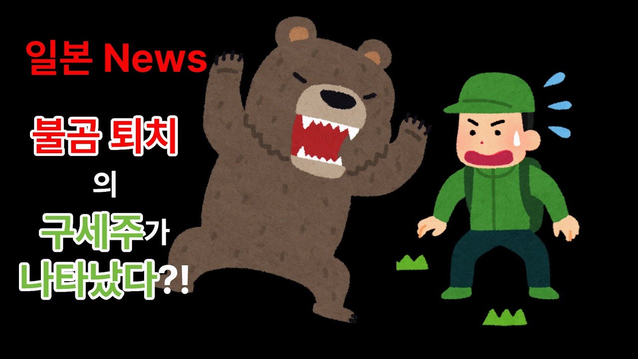 불곰 피해가 커지는 일본! 구세주가 나타났다?! #일본뉴스 - YouTube