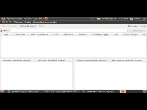 Numeric SQL Injection   Stage 3
