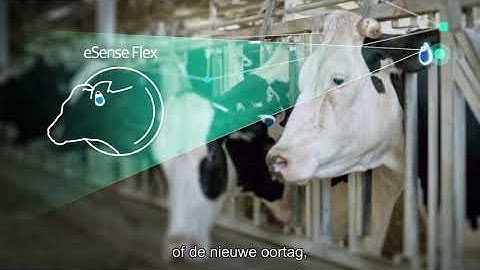 Allflex SenseHub Video NL