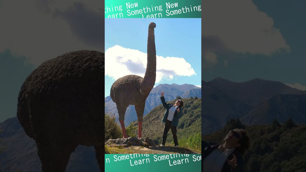 Могучий моа: гигантская нелетающая птица Новой Зеландии