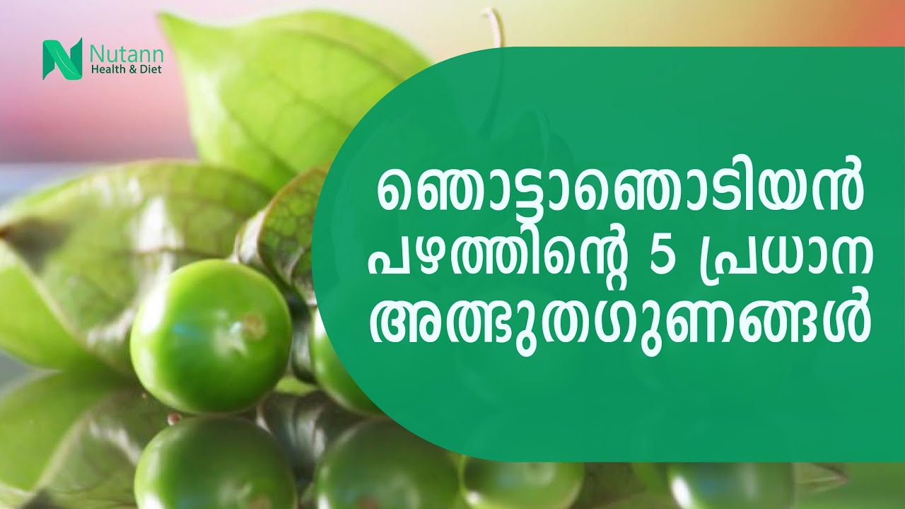 ഞൊട്ടാഞൊടിയൻ പഴത്തിന്റെ 5 പ്രധാന അത്ഭുതഗുണങ്ങൾ | Goldenberry ultimate health benefits |Nutann Health