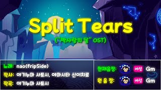 【가사/번안】Split Tears - fripSide [2007年]