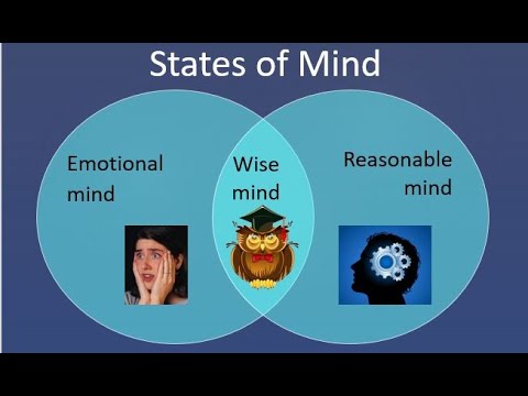 DBT - Mindfulness - 3 States of Mind