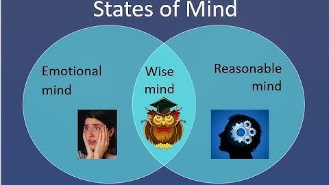 DBT - Mindfulness - 3 States of Mind