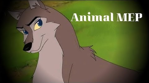 Animal Animash MEP [CLOSED]  COMPLETED