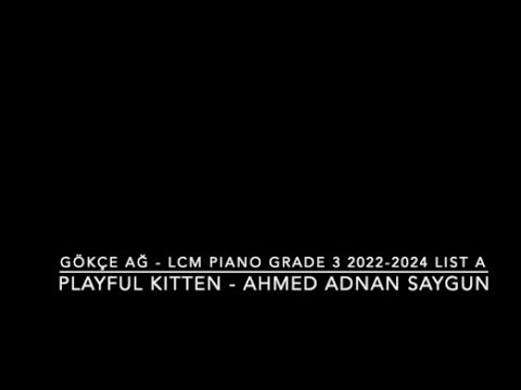   3 2022 2024       