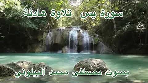 سورة يس تلاوة هادئة بصوت القارئ المؤذن مصطفى محمد البيلوني من رواية حفص عن عاصم ومن مقام الكرد