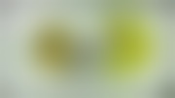 Everyone Fights Bad Users Add Round 22