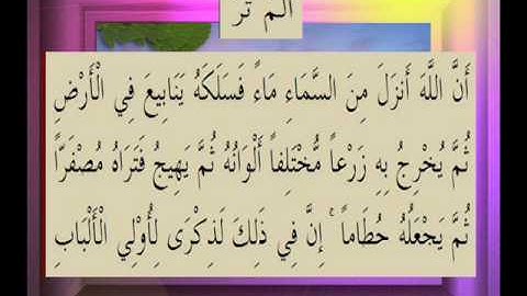 القرآن الكريم سورة الزمر الاية 21