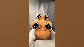 Two Big POUs 😤 best gift ever! #plushtoys #plushies #bigpou