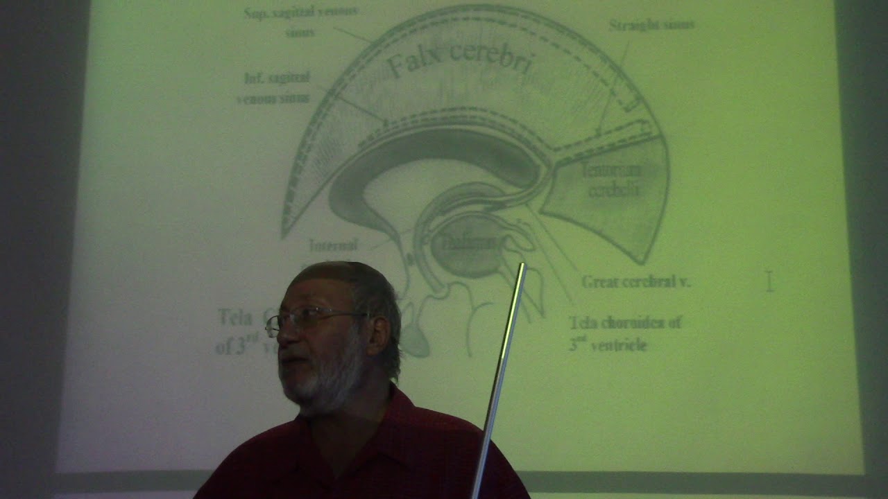 Neuroanatomy 92 ( Third ventricle, part 1 ) , by Dr. Wahdan - YouTube