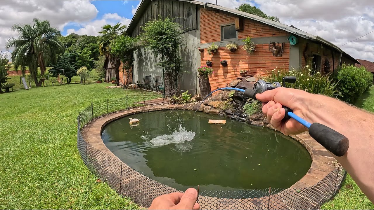 Almoço de domingo garantido, aquele pacu na grelha