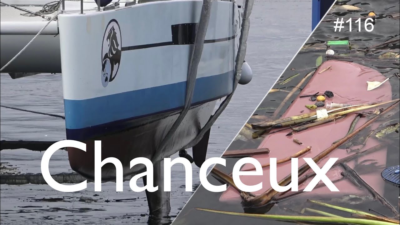 On perd notre safran et on le retrouve à la dérive !