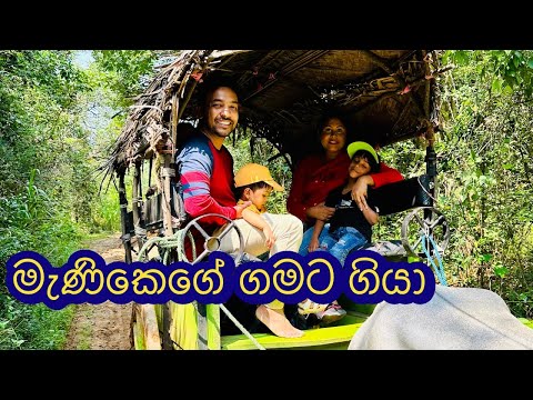කැලයක් මැදින් වෙල් යාය මැද තියන සුන්දර ගමකට කරත්තෙන් ගියා | Village tour #villagelife #theekshana