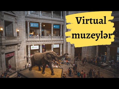 Video: Amerika Təbiət Tarixi Muzeyi (AMNH) Ziyarətçi Bələdçisi