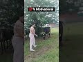 1उप य Truelinemotivatio Gaumata Vastuu Animals 1उप य Truelinemotivatio Gaumata Vastuu Animals