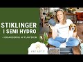 TESTER STIKLINGER I SEMI HYDRO + organisering av planterom