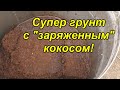 Правильное приготовление кокосового субстрата+заправка его "Рост концентратом"