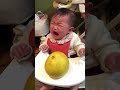 大きい果物にびっくり🍊0歳8ヶ月 큰 과일에 깜짝 🍊 0살 8개월 Surprised by the big fruit 🍊 0y&8ms old #村方乃々佳 #노노카 #nonoka