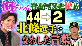 【男前！梅ちゃん】背番号『２』梅野選手に今成亮太が切り込んだ！北條選手とのアノ話　今だから言えるライバル　来年の目標は❝開く❞！？阪神タイガース密着！応援番組「虎バン」ABCテレビ公式チャンネル