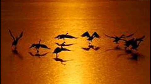 Thumbnail of 电影《上甘岭》插曲：我的祖国，小提琴独奏：陈蓉晖