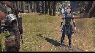 ESO Mini Map in Jan 2023