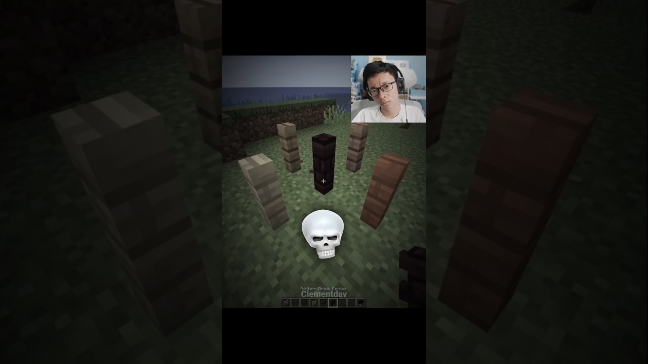 Minecraft Fence Moment