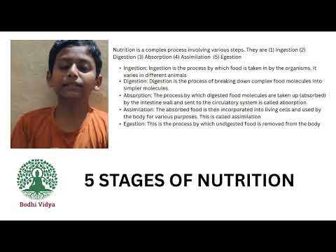 Recalling 5 stages of Nutrition