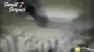 Video cocofun keren 2020 kata kata bijak