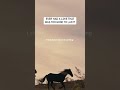 but you get what you get when you mess with a wild one #countrymusic #troycartwright #viral #wildone